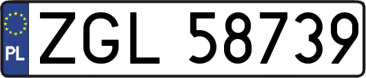 ZGL58739