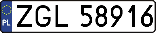 ZGL58916