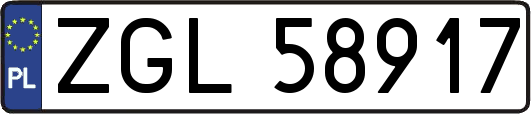 ZGL58917