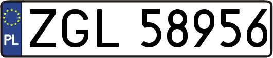 ZGL58956