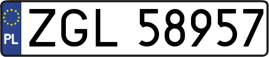 ZGL58957