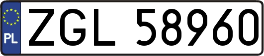 ZGL58960