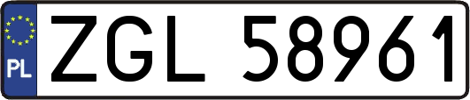 ZGL58961