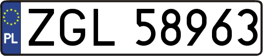 ZGL58963