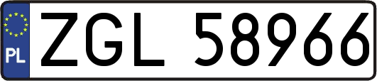 ZGL58966