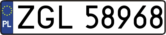 ZGL58968