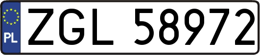 ZGL58972