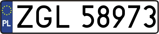 ZGL58973