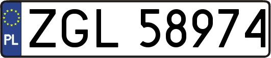 ZGL58974