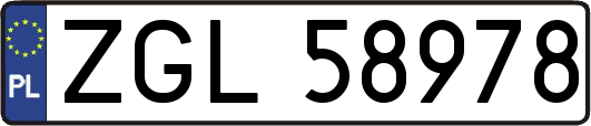 ZGL58978