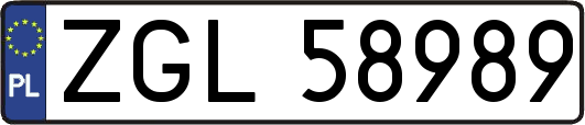 ZGL58989