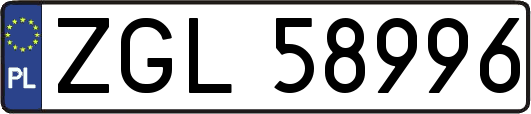 ZGL58996