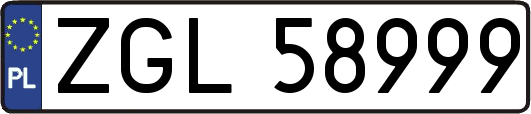 ZGL58999