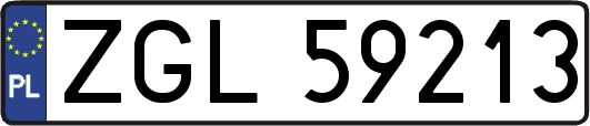 ZGL59213