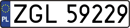 ZGL59229
