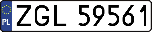 ZGL59561