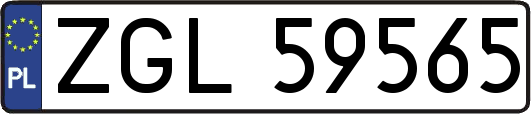 ZGL59565