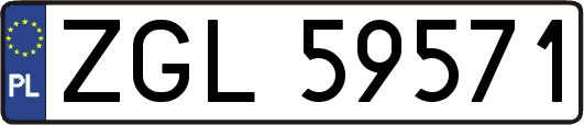 ZGL59571