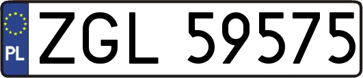 ZGL59575