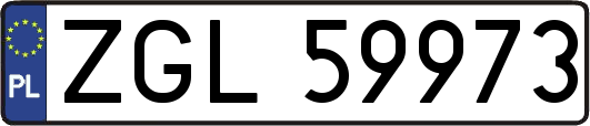ZGL59973