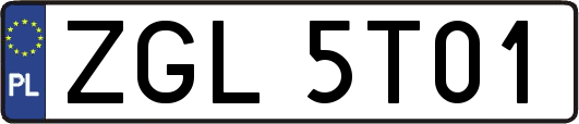 ZGL5T01
