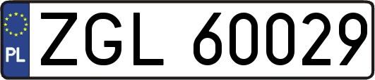 ZGL60029