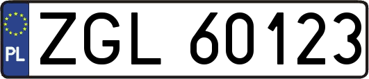 ZGL60123