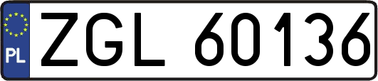 ZGL60136