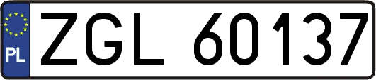 ZGL60137