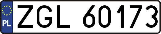 ZGL60173