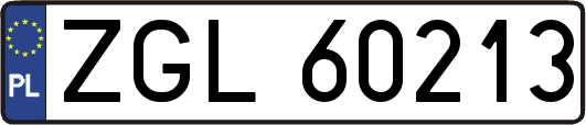 ZGL60213