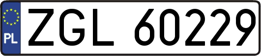 ZGL60229