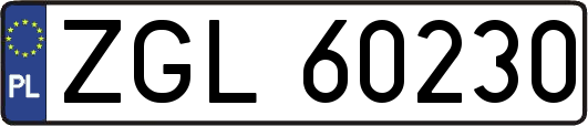 ZGL60230