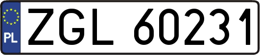 ZGL60231