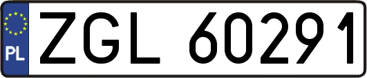 ZGL60291