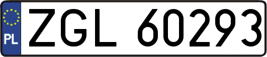 ZGL60293