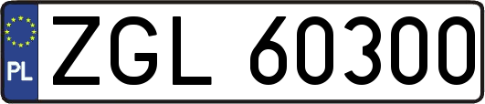 ZGL60300