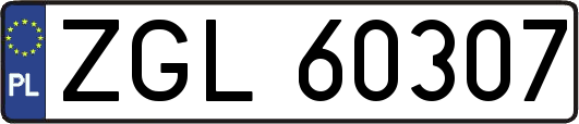 ZGL60307