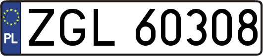 ZGL60308