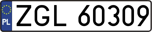 ZGL60309