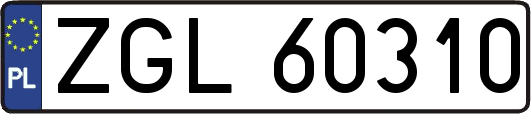 ZGL60310