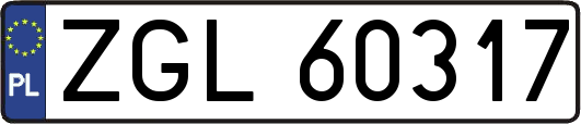 ZGL60317