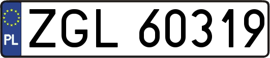 ZGL60319