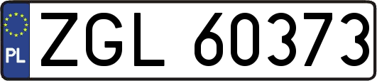 ZGL60373