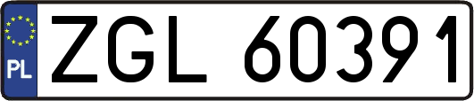 ZGL60391