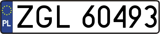 ZGL60493