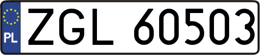 ZGL60503