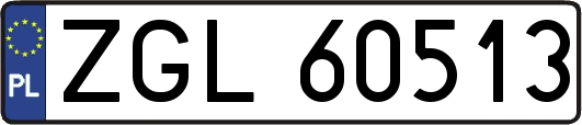 ZGL60513