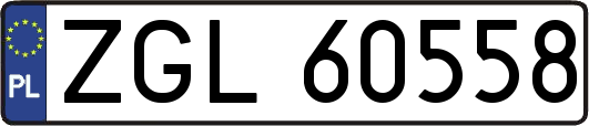 ZGL60558