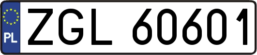 ZGL60601